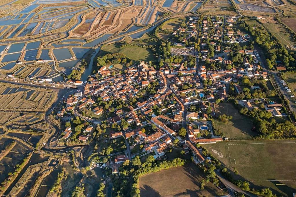 Maison De Village Et Jardin , A Mornac Sur Seudre Zewnętrze zdjęcie